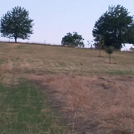 Wildkamp Zelten In Der Freien Campsite *