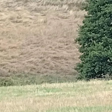 Campsite Wildkamp Zelten In Der Freien *