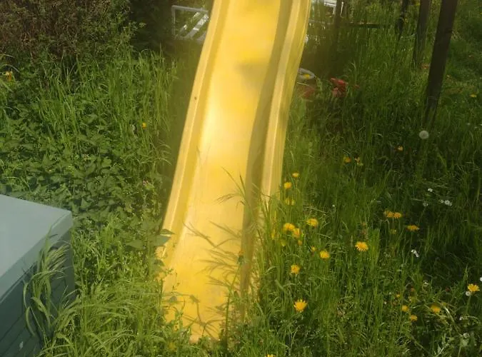 Kemping Wildkamp Zelten In Der Freien Rimbach