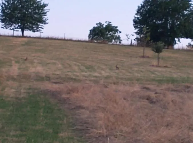 Wildkamp Zelten In Der Freien Kemping *
