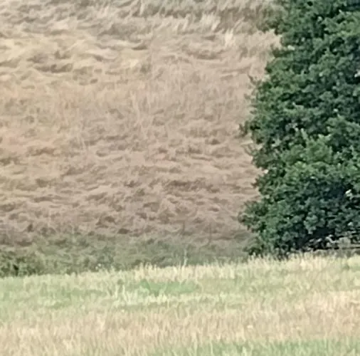 Kemping Wildkamp Zelten In Der Freien *