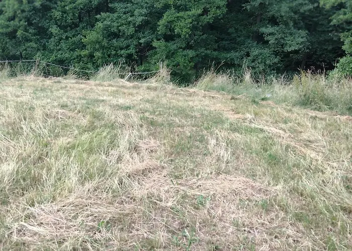 Wildkamp Zelten In Der Freien