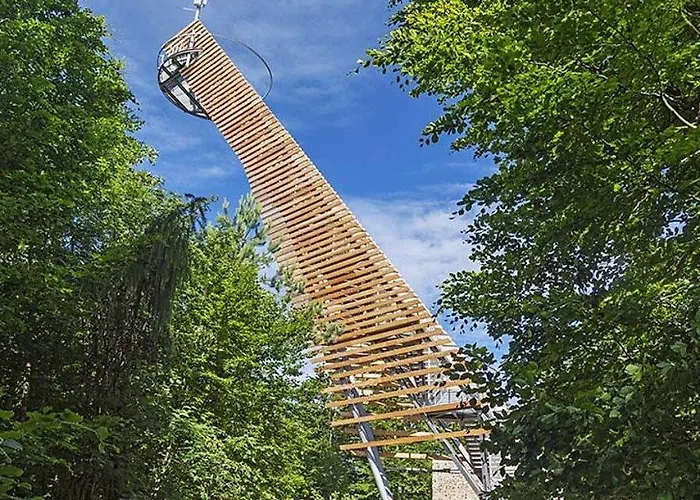 Wildkamp Zelten In Der Freien