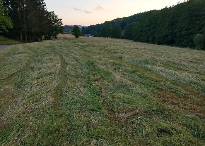 Kemping Wildkamp Zelten In Der Freien Rimbach